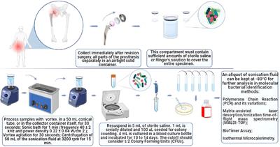 Sonication protocols and their contributions to the microbiological diagnosis of implant-associated infections: a review of the current scenario